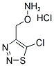 4-[(AMMONIOOXY)METHYL]-5-CHLORO-1,2,3-THIADIAZOLE CHLORIDE 结构式