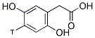 Homogentisic acid, [ring-3H] 结构式