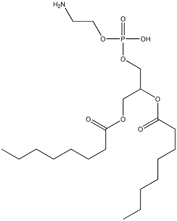 1,2-DIOCTANOYL-SN-GLYCERO-3-PHOSPHOETHANOLAMINE;08:0 PE 结构式