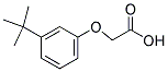 (3-TERT-BUTYLPHENOXY)ACETIC ACID 结构式