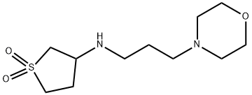 3-((3-吗啉丙基)氨基)四氢噻吩1,1-二氧化物 结构式