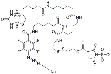 2-[(N2-[N6-(4-Azido-2,3,5,6-tetrafluorobenzoyl)-6-aminocaproyl]-N6-(6-biotinamidocaproyl)-L-lysinylamido)] ethyl 2-(N-sulfosuccinimydylcarboxy)ethyl disulfide, sodium salt 结构式