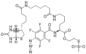 2-[N2-(4-AZIDO-2,3,5,6-TETRAFLUOROBENZOYL)-N6-(6-BIOTINAMIDOCAPROYL)-L-LYSINYL]ETHYL METHANETHIOSULFONATE 结构式