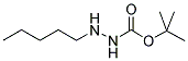 N2-PENTYL-T-BUTYLCARBAZATE 结构式