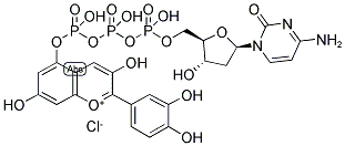 Cyanine5-dCTP