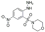 4-[(2-HYDRAZINO-5-NITROPHENYL)SULFONYL]MORPHOLINE 结构式