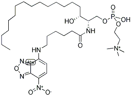 C6 NBD-SPHINGOMYELIN 结构式