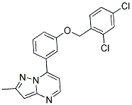 2,4-DICHLOROBENZYL 3-(2-METHYLPYRAZOLO[1,5-A]PYRIMIDIN-7-YL)PHENYL ETHER 结构式