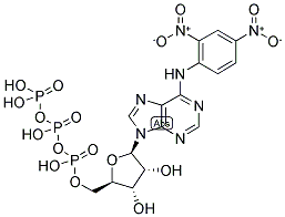 DNP-N6-ATP 结构式