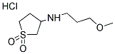 N-(1,1-DIOXIDOTETRAHYDROTHIEN-3-YL)-N-(3-METHOXYPROPYL)AMINE HYDROCHLORIDE 结构式