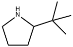 2-叔丁基吡咯烷 结构式