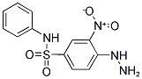 4-HYDRAZINO-3-NITRO-N-PHENYL-BENZENESULFONAMIDE 结构式