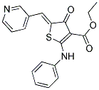 ETHYL (5Z)-2-ANILINO-4-OXO-5-(PYRIDIN-3-YLMETHYLENE)-4,5-DIHYDROTHIOPHENE-3-CARBOXYLATE 结构式