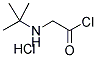 N-T-BUTYLGLYCINE ACID CHLORIDE HCL 结构式