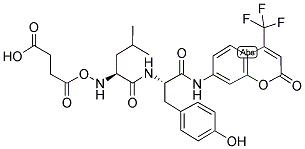 CALPAIN SUBSTRATE, SUCCINYL, FLUOROGENIC 结构式