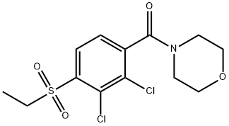 [2,3-DICHLORO-4-(ETHYLSULFONYL)PHENYL](MORPHOLINO)METHANONE 结构式