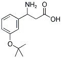 3-AMINO-3-(3-T-BUTOXYPHENYL)PROPIONIC ACID 结构式