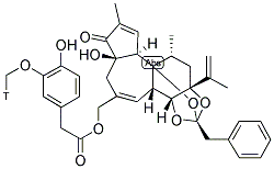 Resiniferatoxin, [3H]- 结构式