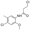 3-CHLORO-N-(4-CHLORO-2-METHOXY-5-METHYLPHENYL)PROPANAMIDE 结构式