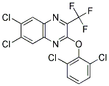 2,6-DICHLOROPHENYL 6,7-DICHLORO-3-(TRIFLUOROMETHYL)-2-QUINOXALINYL ETHER 结构式