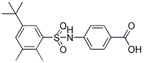4-(5-TERT-BUTYL-2,3-DIMETHYL-BENZENESULFONYLAMINO)-BENZOIC ACID 结构式