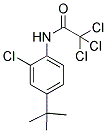 N-[4-(TERT-BUTYL)-2-CHLOROPHENYL]-2,2,2-TRICHLOROACETAMIDE 结构式