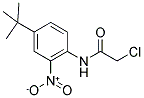 N-[4-(TERT-BUTYL)-2-NITROPHENYL]-2-CHLOROACETAMIDE 结构式