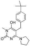 5-(4-TERT-BUTYL-BENZYL)-6-HYDROXY-1-METHYL-4-PYRROLIDIN-1-YL-1H-PYRIMIDIN-2-ONE 结构式