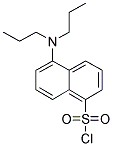 5-DIPROPYLAMINO-NAPHTHALENE-1-SULFONYL CHLORIDE 结构式