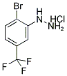 2-溴-5-三氟甲基苯肼盐酸盐 结构式
