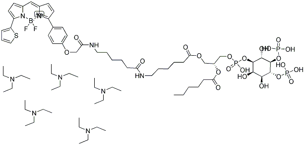 BODIPY(R) tr-x C6-phosphatidylinositol 4,5-diphosphate, penta(triethylammonium) salt 结构式