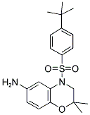 4-(4-TERT-BUTYL-BENZENESULFONYL)-2,2-DIMETHYL-3,4-DIHYDRO-2H-BENZO[1,4]OXAZIN-6-YLAMINE 结构式