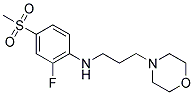 N-[2-FLUORO-4-(METHYLSULFONYL)PHENYL]-N-(3-MORPHOLIN-4-YLPROPYL)AMINE 结构式