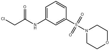 2-氯-N-[3-(吗啉-4-磺酰基)苯基]乙酰胺 结构式