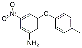 3-NITRO-5-P-TOLYLOXY-PHENYLAMINE 结构式