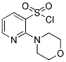 2-MORPHOLIN-4-YL-PYRIDINE-3-SULFONYL CHLORIDE 结构式