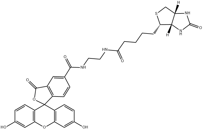 生物素-4-荧光素 结构式