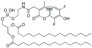 MARINA BLUE(R) 1,2-DIHEXADECANOYL-SN-GLYCERO-3-PHOSPHOETHANOLAMINE 结构式