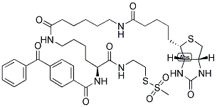 2-[NA-BENZOYLBENZOICAMIDO-N6-(6-BIOTINAMIDOCAPROYL)-L-LYSINYLAMIDO]ETHYL METHANETHIOSULFONATE 结构式