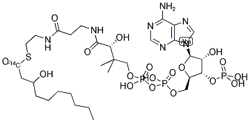 3-HYDROXYDECANOYL, [1-14C] COENZYME A 结构式
