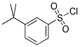 3-tert-Butyl benzenesulfonyl chloride 结构式