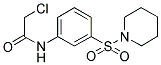 2-CHLORO-N-[3-(PIPERIDINE-1-SULFONYL)-PHENYL]-ACETAMIDE 结构式