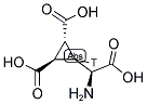 (2S,2'R,3'R)-2-(1'-3H,2',3'-DICARBOXYCYCLOPROPYL)GLYCINE 结构式