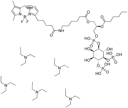 BODIPY(R) FL C5, C6-PHOSPHATIDYLINOSITOL 4,5-DIPHOSPHATE, PENTA(TRIETHYLAMMONIUM) SALT 结构式