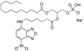 1-MYRISTOYL-2-[6-[(7-NITRO-2-,1,3-BENZOXADIAZOL-4-YL)AMINO]CAPROYL]-SN-GLYCEROL-3-PHOSPHO-RAC-(1-GLYCEROL) SODIUM SALT 结构式