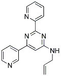 N-ALLYL-2-PYRIDIN-2-YL-6-PYRIDIN-3-YLPYRIMIDIN-4-AMINE 结构式