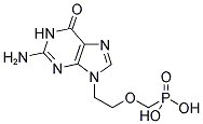 9-(2-PHOSPHONYLMETHOXYETHYL)-GUANINE 结构式