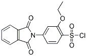 2-Ethoxy-4-(N-phthalimidinyl)benzenesulfonyl chloride 结构式