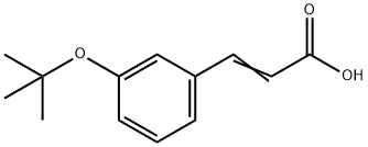 (3E)-3-(3-TERT-BUTOXY-PHENYL)-ACRYLIC ACID 结构式