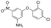 3-(2,4-DICHLORO-PHENOXY)-5-NITRO-PHENYLAMINE 结构式